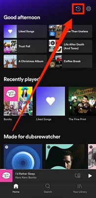 ver historial de reproducciones de Spotify en iPhone